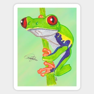 Red Eyed Tree Frog Magnet